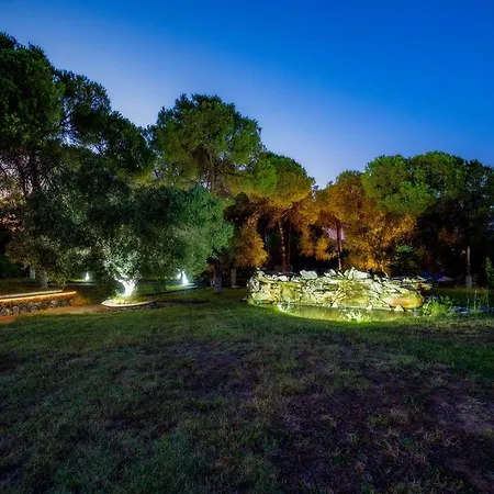 ゲストハウス Petra Mare